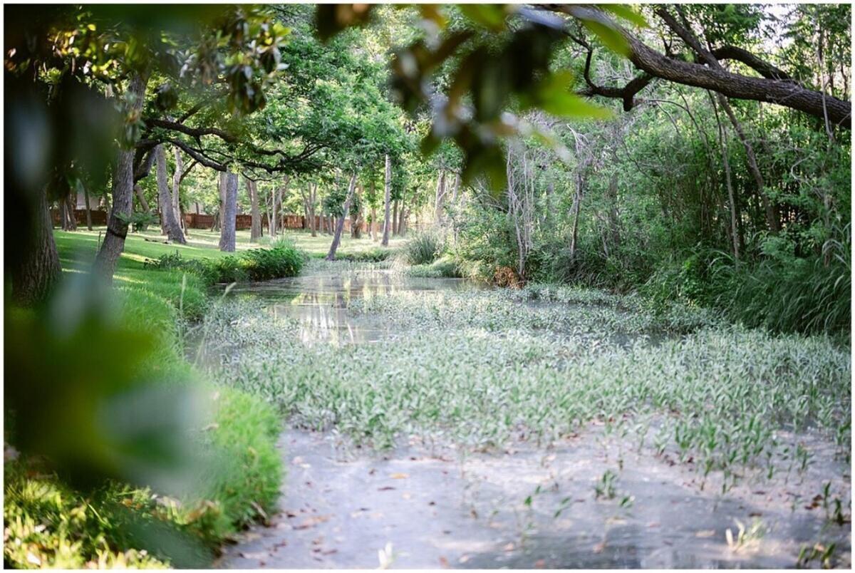 Messina Inn Wimberley Quarto foto
